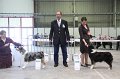 IMG_0438