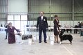 IMG_0439