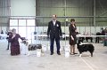 IMG_0440