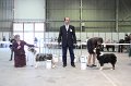 IMG_0441