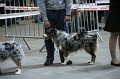 IMG_0449