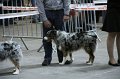 IMG_0450