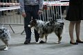 IMG_0451