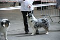 IMG_0452