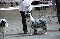 IMG_0453