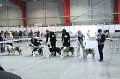 IMG_0458