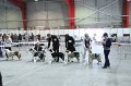 IMG_0459