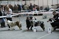 IMG_0461