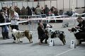 IMG_0462