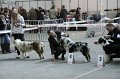 IMG_0464