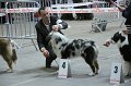 IMG_0468
