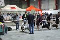 IMG_0484