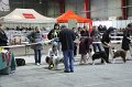 IMG_0485