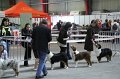 IMG_0486