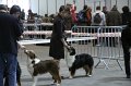 IMG_0489