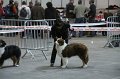 IMG_0492