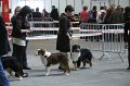 IMG_0499