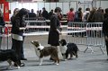 IMG_0501
