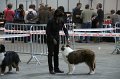IMG_0503