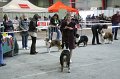 IMG_0504