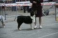 IMG_0506