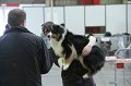 IMG_0510