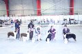 IMG_0514