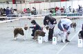 IMG_0521