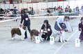 IMG_0523