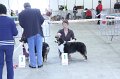 IMG_0525