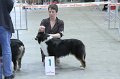 IMG_0526