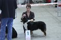 IMG_0527