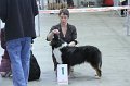 IMG_0529