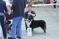 IMG_0531