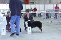 IMG_0533