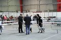 IMG_0534