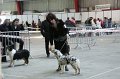 IMG_0543
