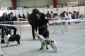 IMG_0544