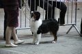 IMG_0547