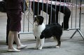 IMG_0549