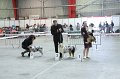 IMG_0551