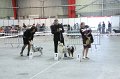 IMG_0553