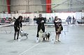 IMG_0554