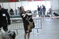 IMG_0555