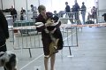 IMG_0557