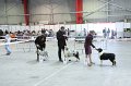 IMG_0559
