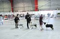 IMG_0561