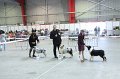 IMG_0562