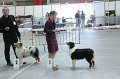 IMG_0564