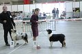 IMG_0565